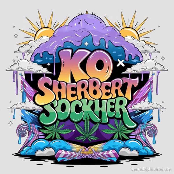 KO x Sherbert Sockher