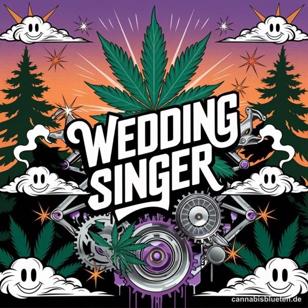 420 Evolution 27/1 CA WES