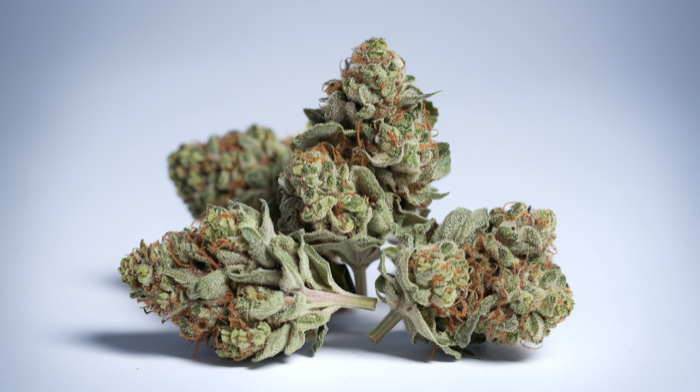 Cannabis Ärztemangel: Telemedizin als Lösung für Patienten 2026