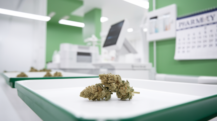 Cannabis Toleranzpause richtig durchführen - Der komplette Guide