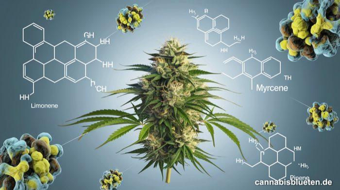 Terpene und ihre Wirkung