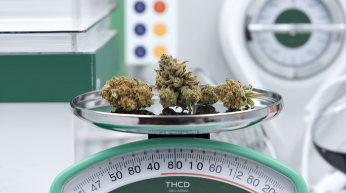 THC CBD Verhältnis richtig wählen - Medizinisches Cannabis Guide