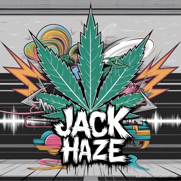 Jack Haze