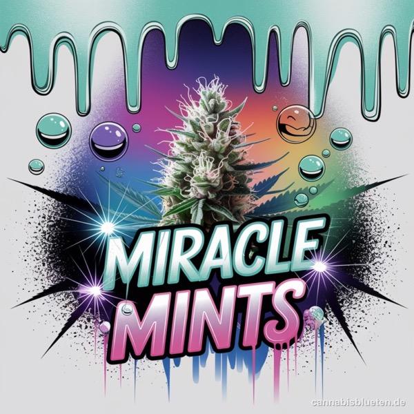 Miracle Mints