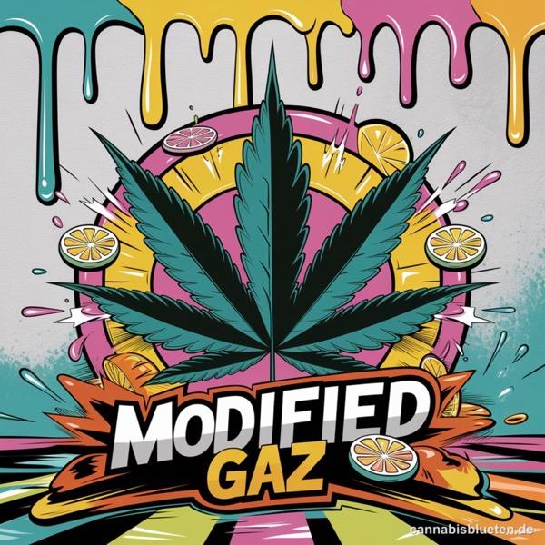 Modified Gaz